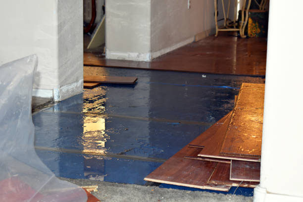 Professional Sewage Cleanup technician working in Hampton, IL